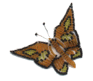 monarch2.gif (6141 bytes)